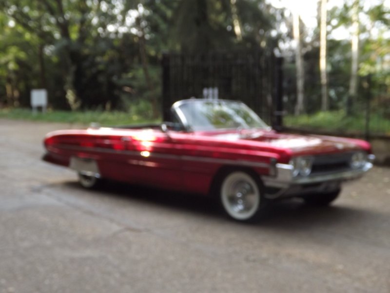 DSCF5336.JPG
