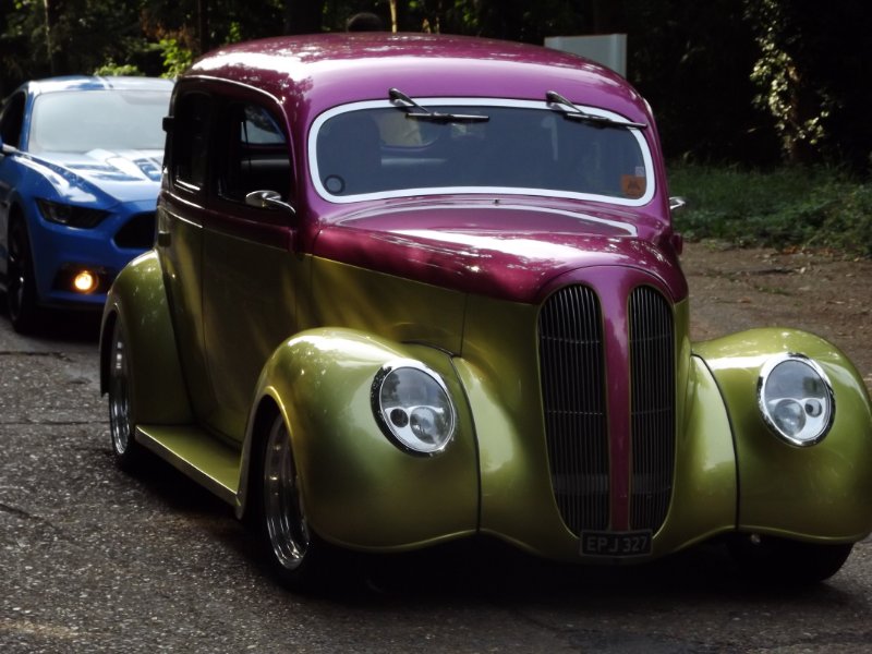DSCF5341.JPG