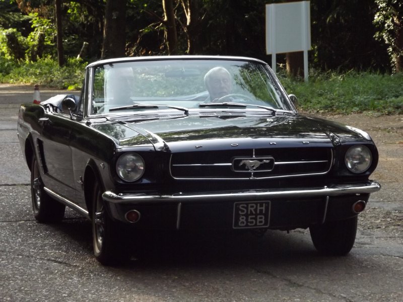 DSCF5354.JPG