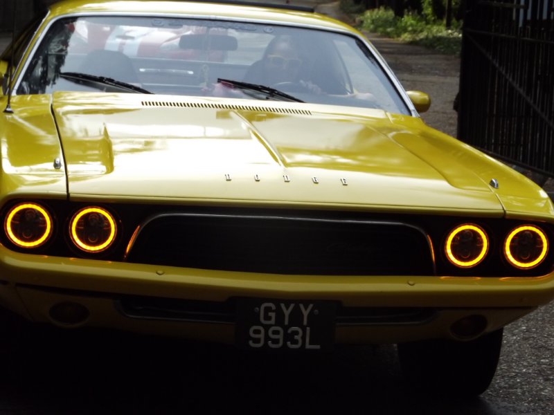 DSCF5380.JPG