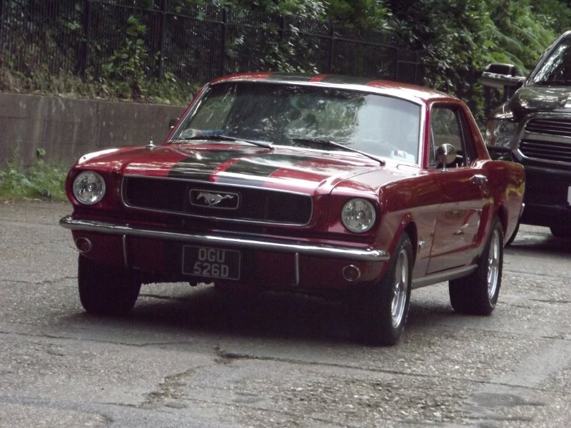 DSCF5381.JPG