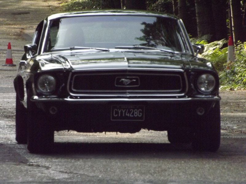 DSCF5388.JPG