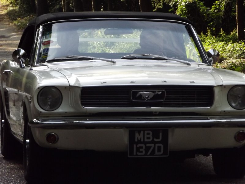 DSCF5409.JPG