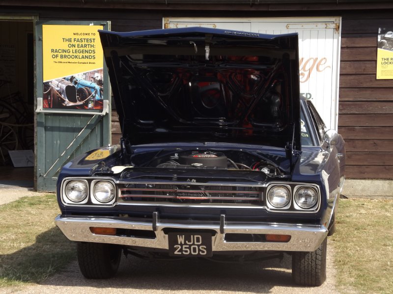 DSCF5509.JPG