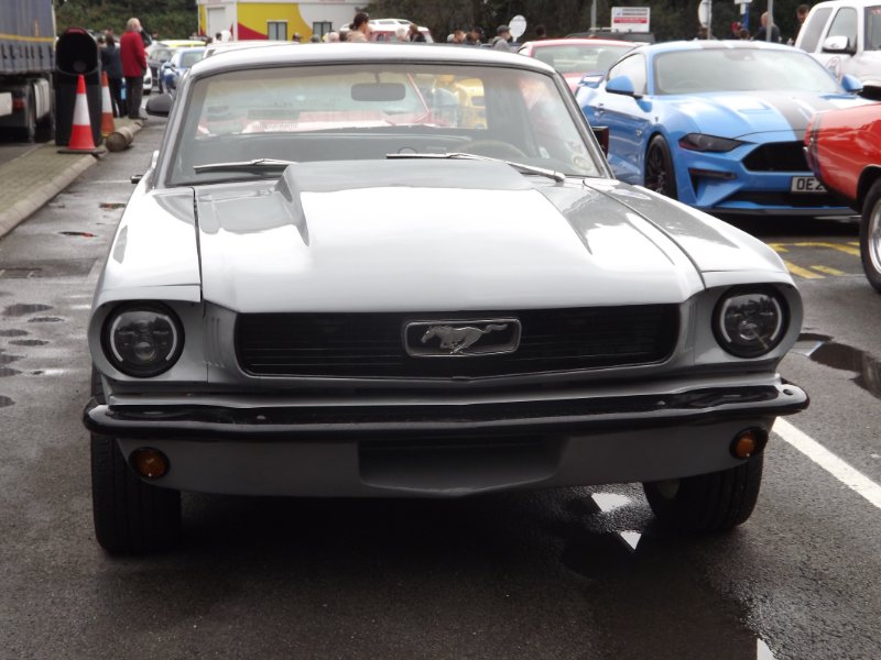 DSCF5561.JPG
