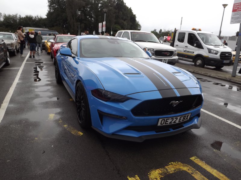 DSCF5564.JPG