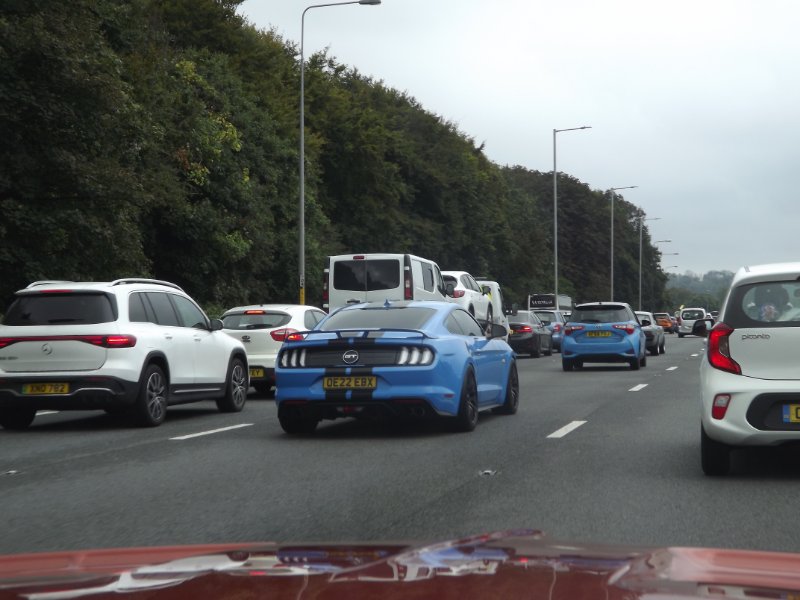 DSCF5627.JPG