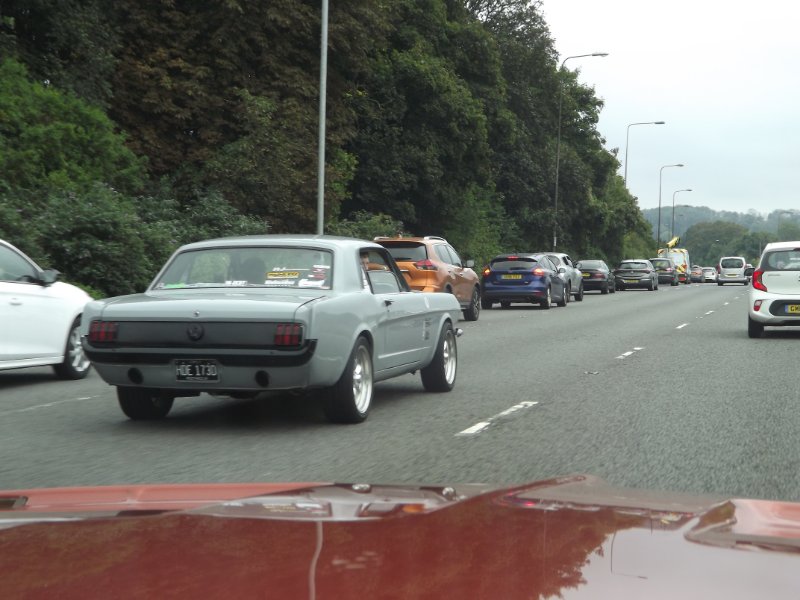 DSCF5628.JPG