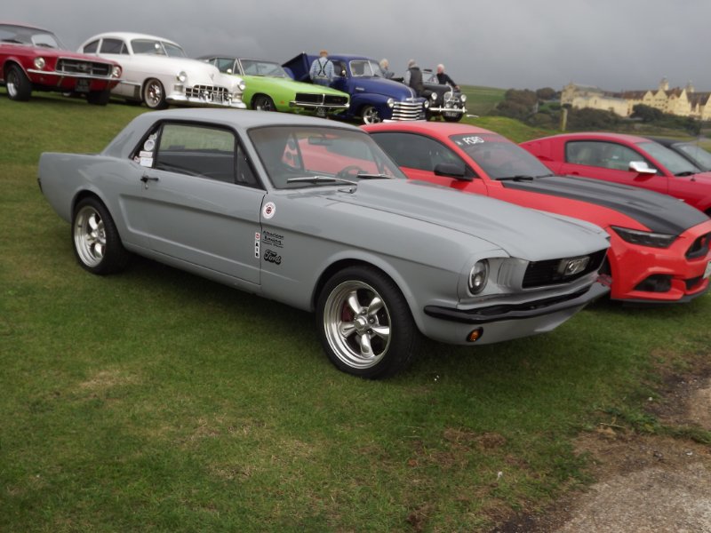 DSCF5650.JPG