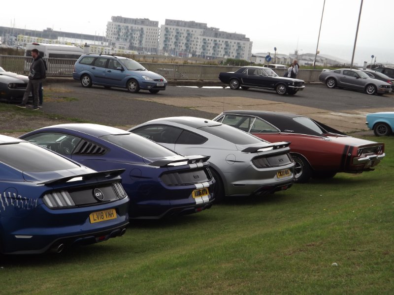 DSCF5662.JPG