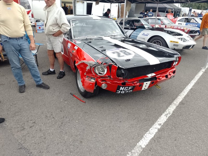 IMG-20240817-WA0113.jpg