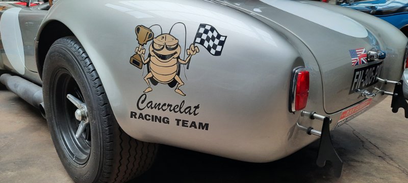 20241020_093107.jpg