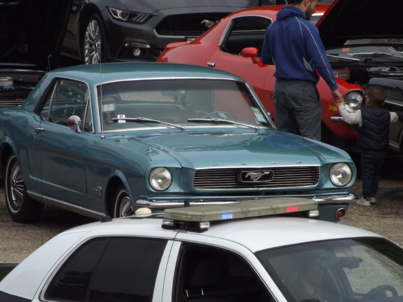 DSCF6036.JPG