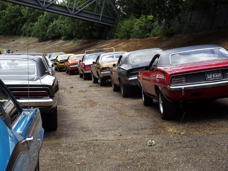 DSCF6239.JPG
