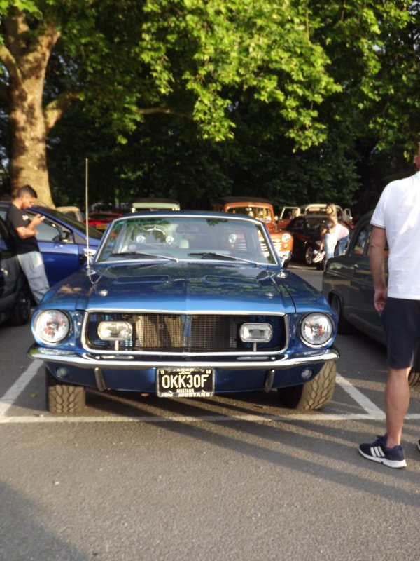 DSCF6342.JPG
