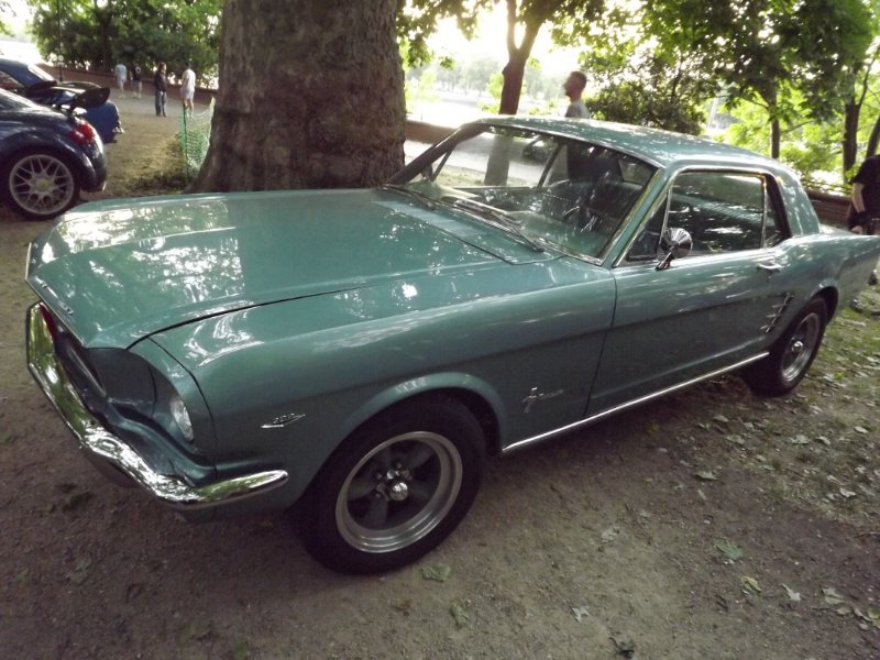 DSCF6430.JPG