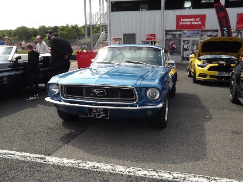 DSCF6551.JPG