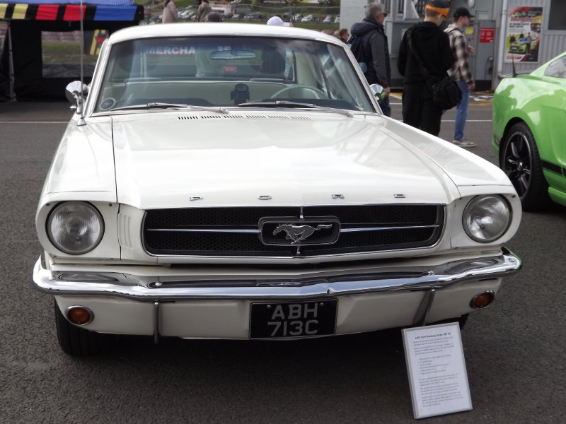 DSCF6554.JPG