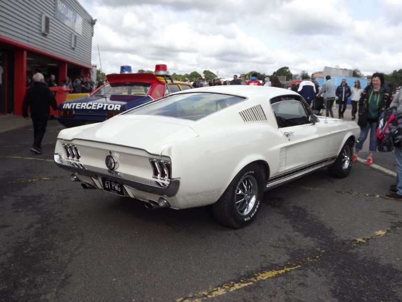 DSCF6556.JPG