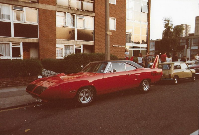 superbird-1.jpg