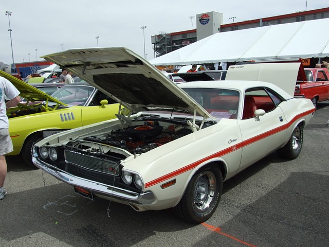 DSCF1742.jpg