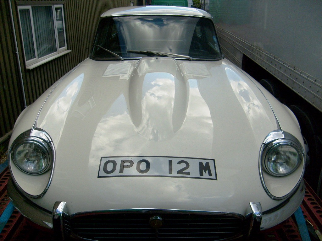 S6302537.JPG