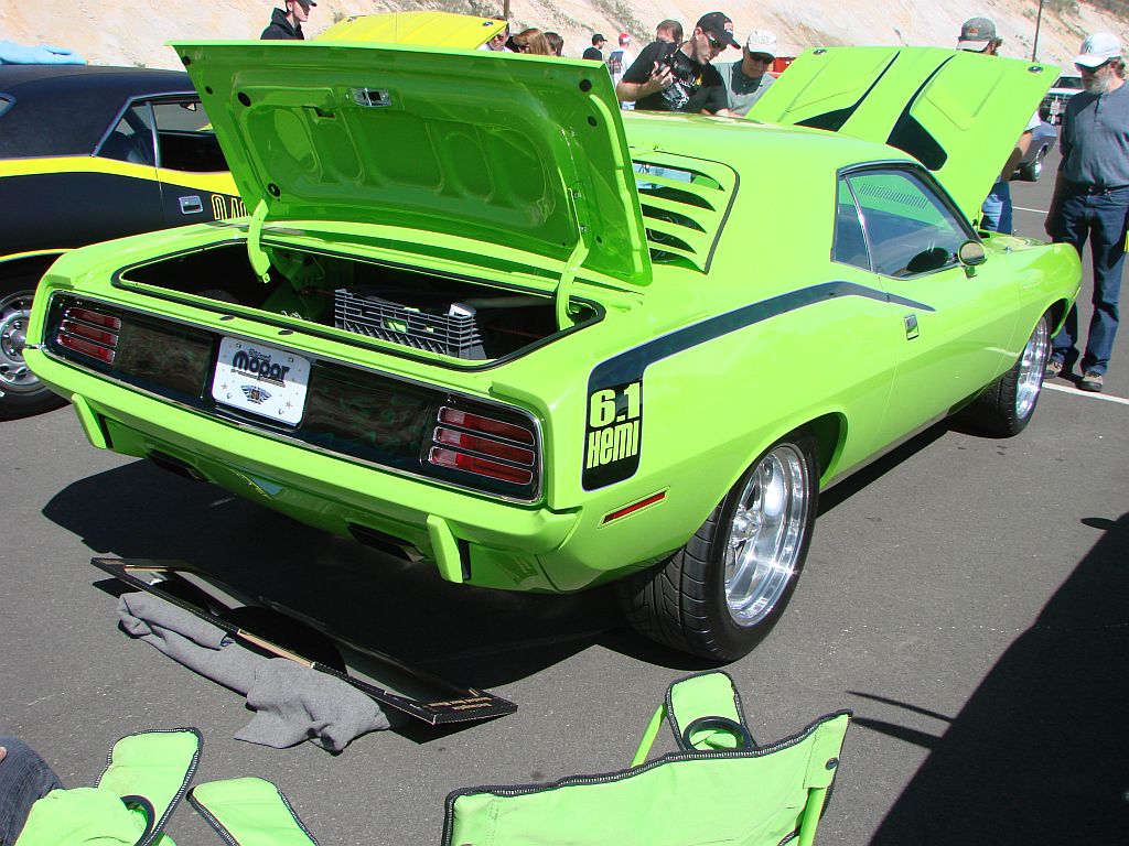 DSC01427 green cuda 1.jpg
