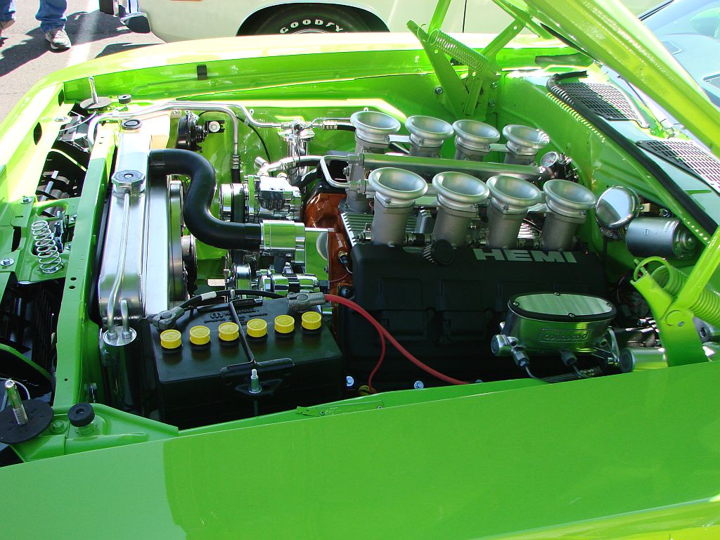 DSC01426 green cuda.jpg