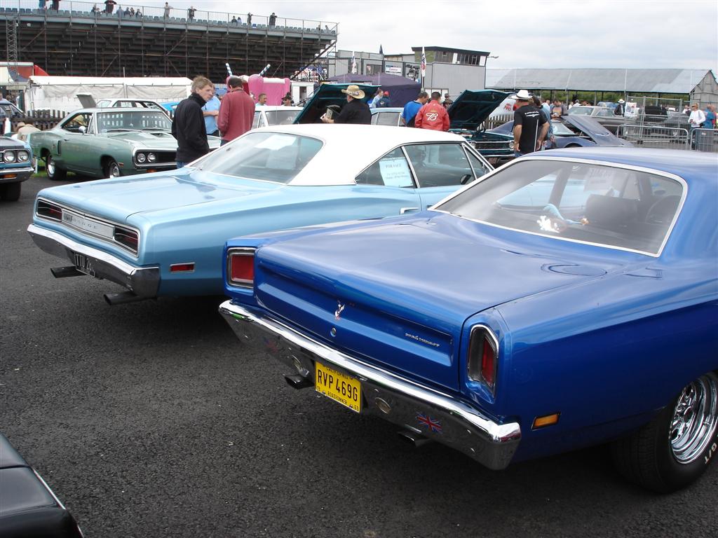 DSC01217 (Large).JPG