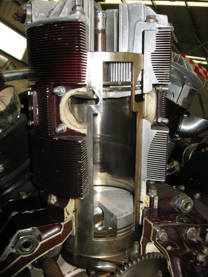 Hercules4.jpg