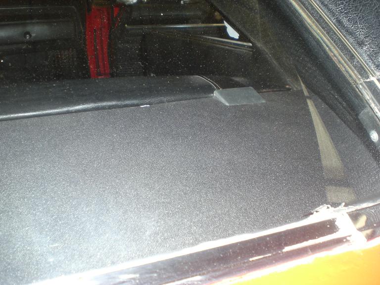 looking in through the back window