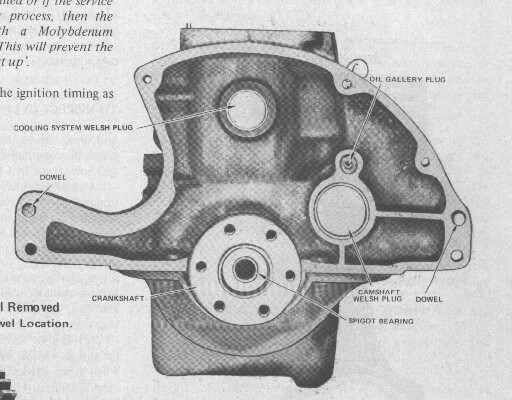standard hemi