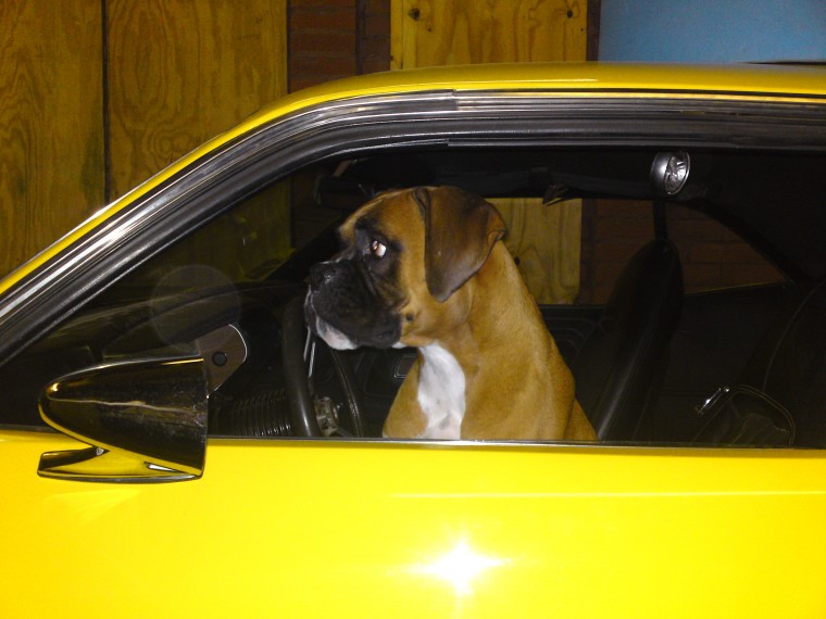 chally herman.jpg