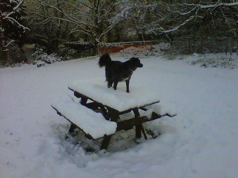 IMG00024-20101127-1053.jpg