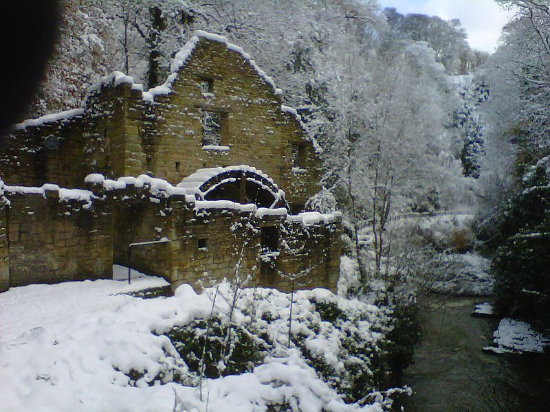 IMG00021-20101127-1048.jpg
