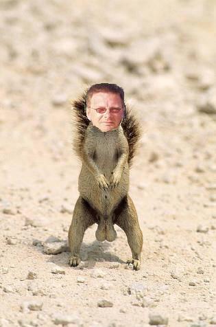 bigballs bri.jpg