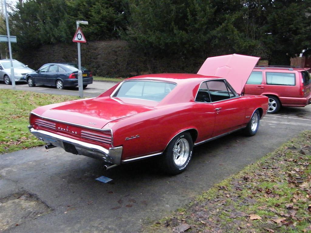 DSCF7823 (Large).JPG