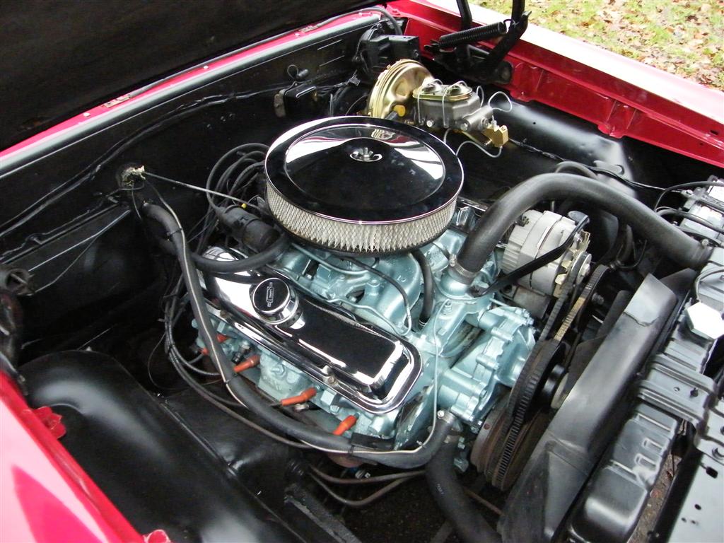 DSCF7822 (Large).JPG