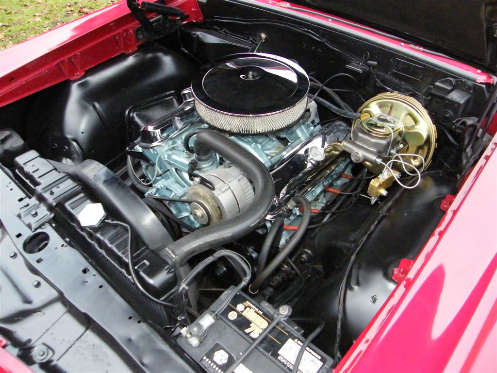 DSCF7827 (Large).JPG