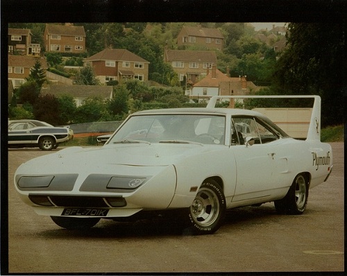 superbird8.JPG