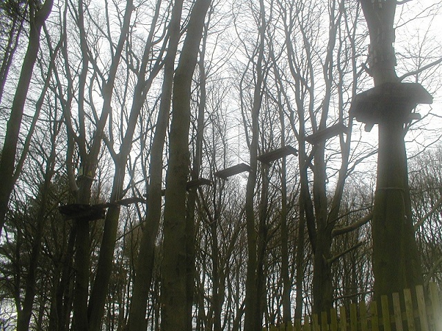 P1010010.JPG
