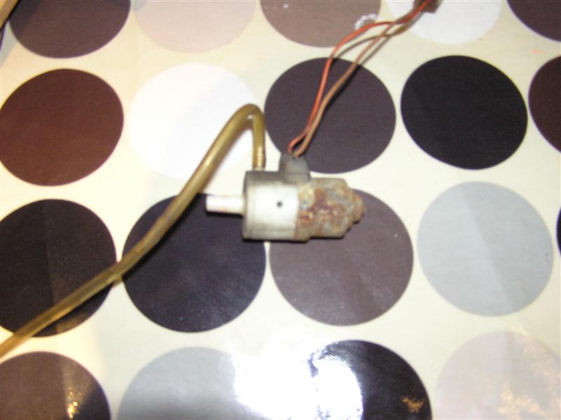 P3150009 (Medium).JPG
