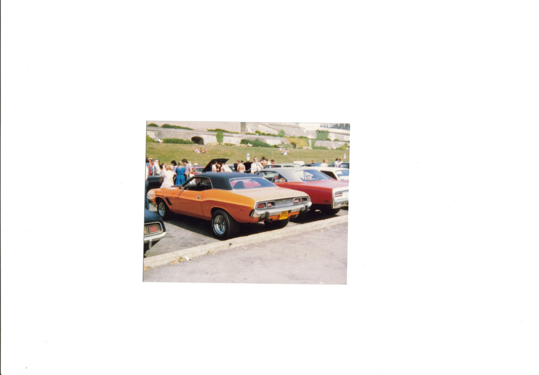 bt5_l_134.jpg
