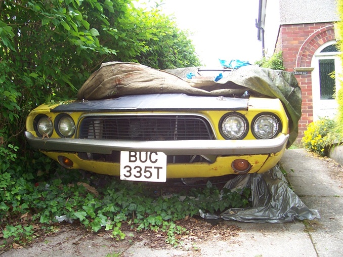 BUC 335T 2010.JPG