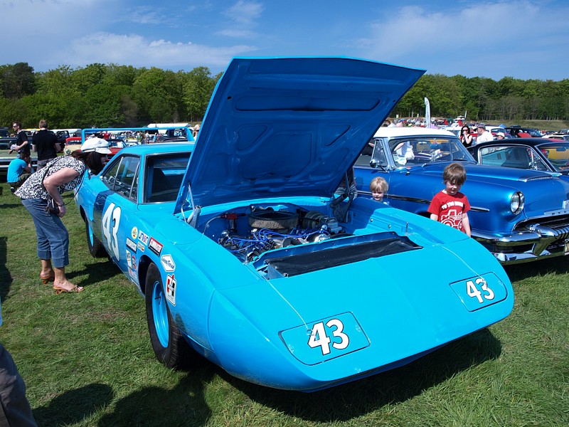 P4224354.jpg