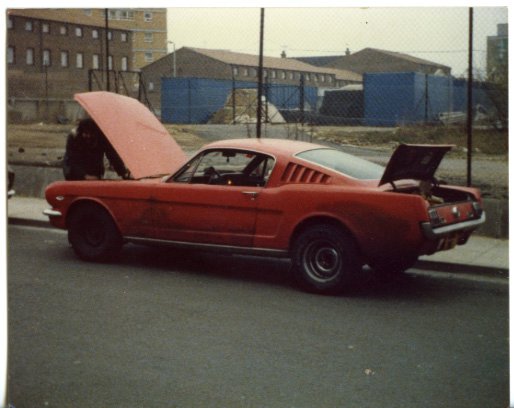 Les 65 Mustang.jpg
