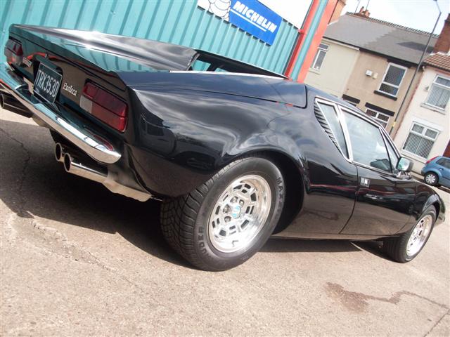 Pantera  (nearly done) 016.jpg