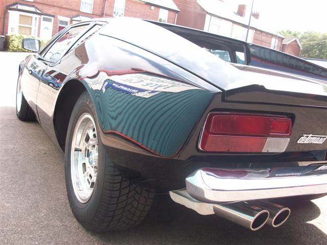 Pantera  (nearly done) 020.jpg