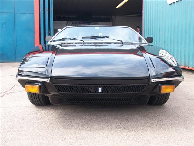 Pantera  (nearly done) 007.jpg