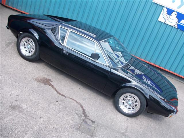 Pantera  (nearly done) 029.jpg